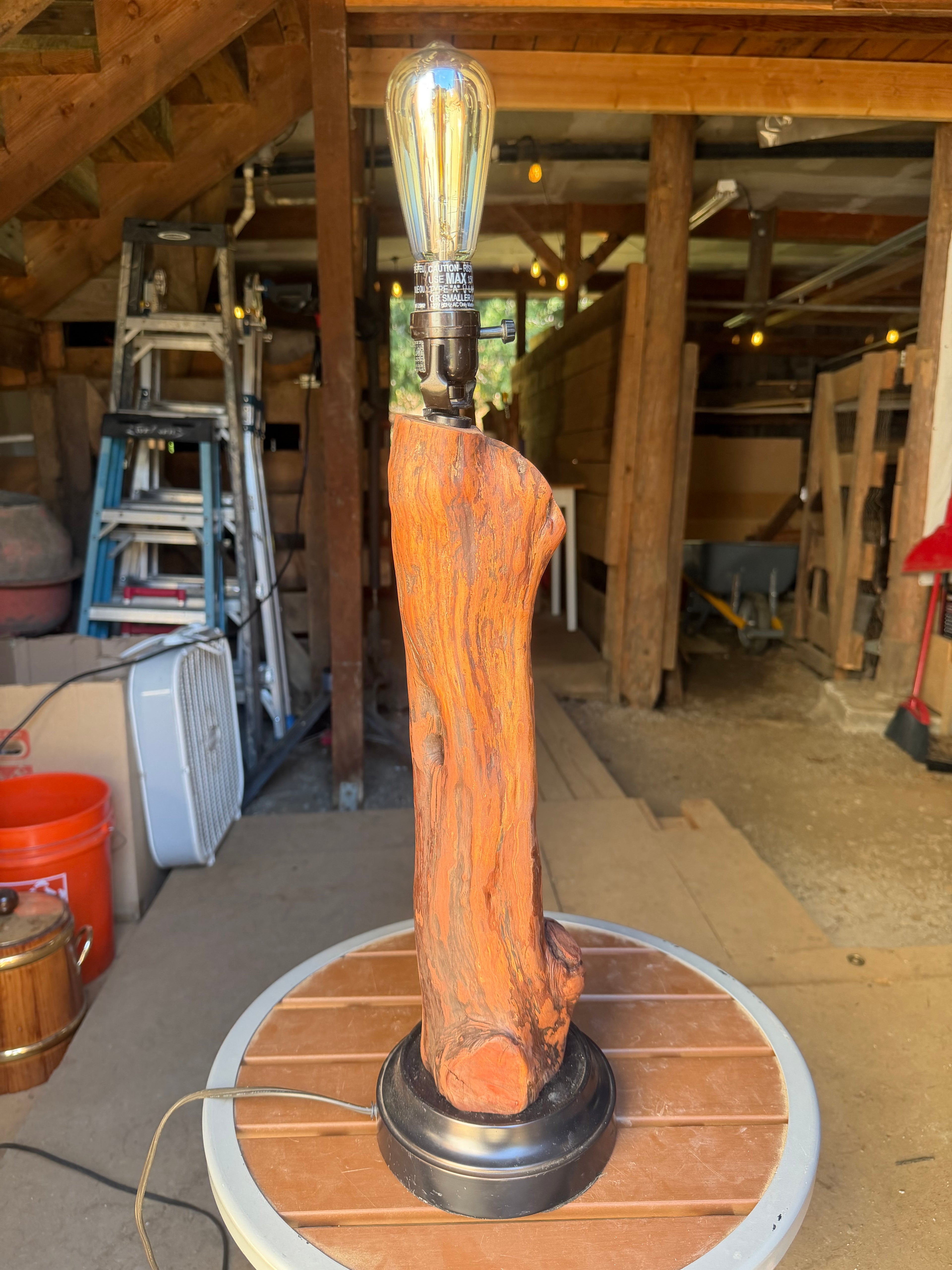 Manzanita Log Lamp "Lazy Day"