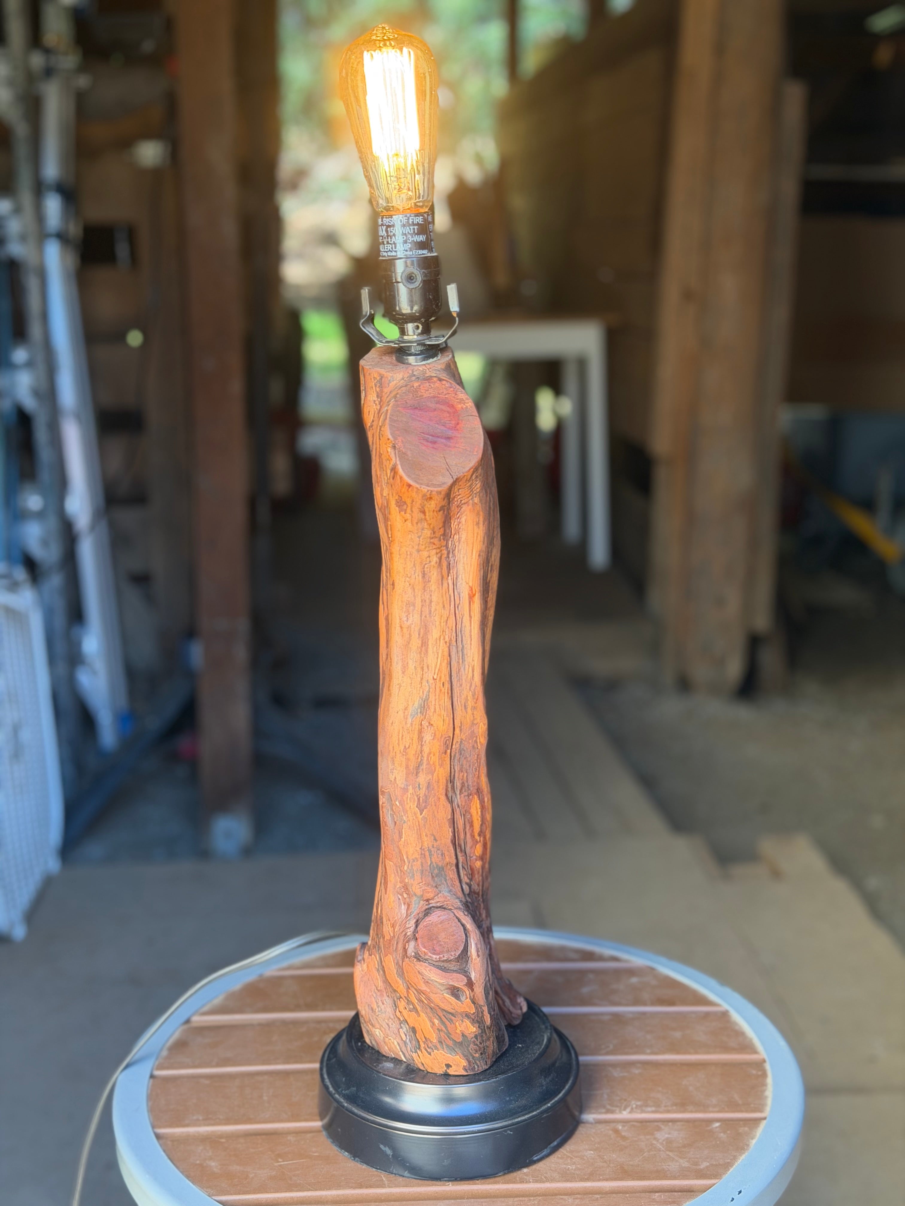 Manzanita Log Lamp "Lazy Day"