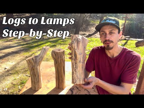 Manzanita Log Lamp "Lazy Day"